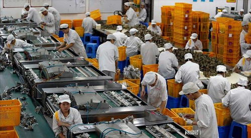 大学生暑期流水线 月入五六千，只为赚出一台iPad